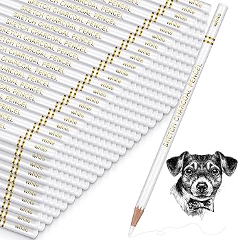 Amazon.co.jp: Resurhang チャコールペンシル 描画セット 100本