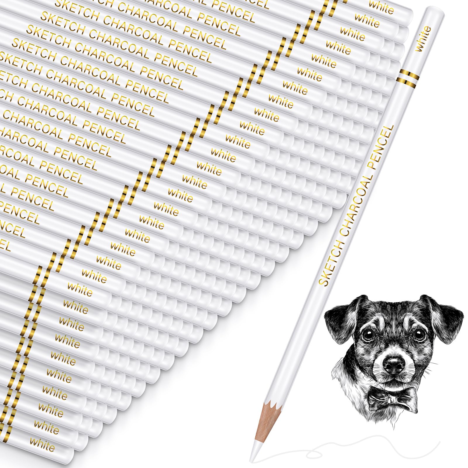 Resurhang 100 Pcs Charcoal Pencils Drawing Set, Charcoal Pencils bulk for Drawing Sketching Shading Blending Portrait Beginners and Artists(White,White Style)