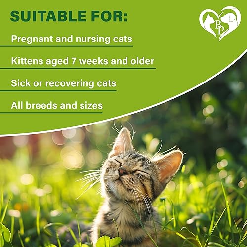 Miniatura 6 de Collar natural para pulgas y garrapatas para gatos, control de 12 meses de la mejor prevención y tratamiento seguro, repelente de aceites esenciales