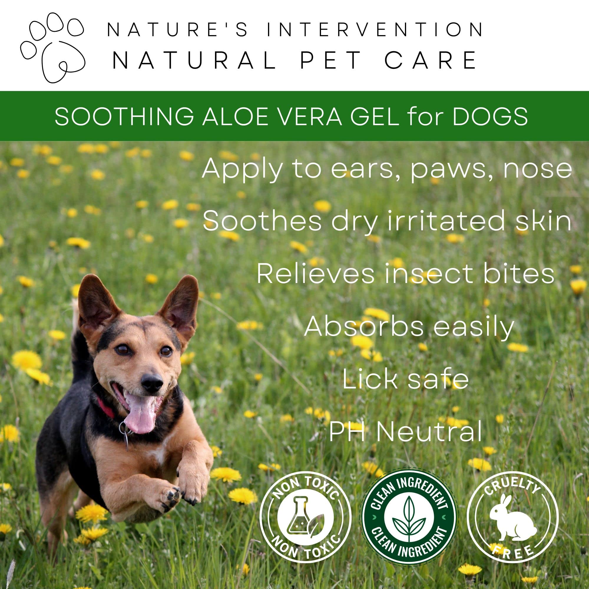 NATURE'S INTERVENTION 99% Natural Soothing Aloe Gel for Dogs - 100g - Plastic-Free Jar with Aluminium Lid - Aloin-Free Aloe Vera & Neem - Image 3