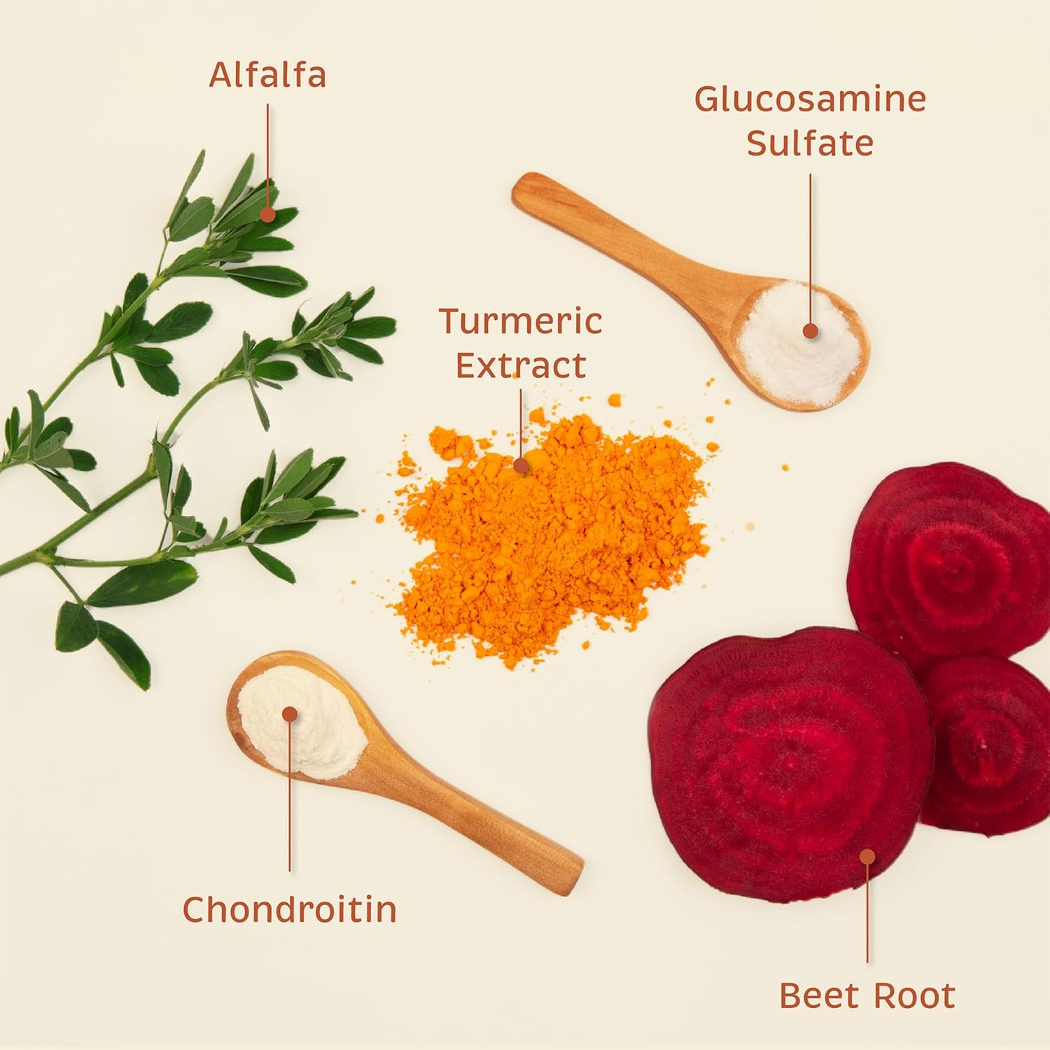 Spirited Paw Pet Health Bundle - Dental & Joint Support for Dogs - Teeth Powder & Chewable Wafers for Plaque, Tartar, and Mobility - 165 g Powder & 100 Wafers