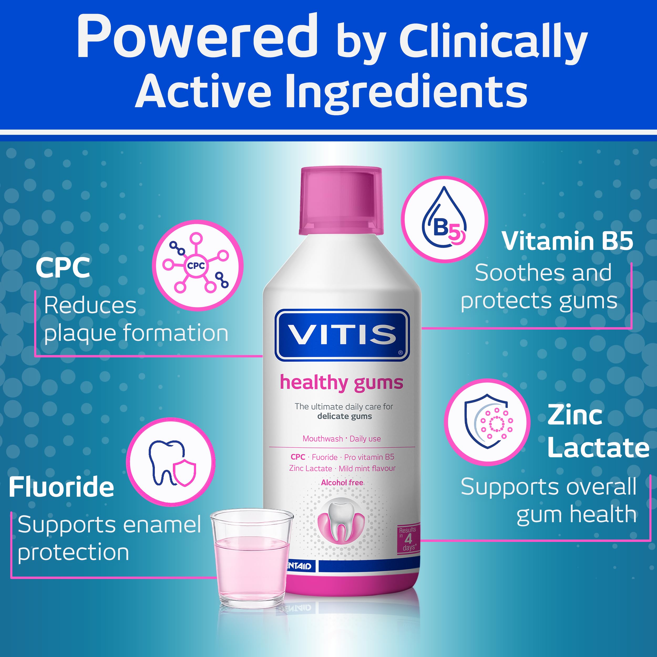 Vitis Gingival The Ultimate Daily Gum Care płyn do płukania jamy ustnej bez alkoholu, 500 ml