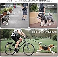 Vista 3 de Correa de perro manos libres de máxima seguridad, gancho seguro resistente, elástico que absorbe los golpes, cinturón y bolsa, asas dobles, se