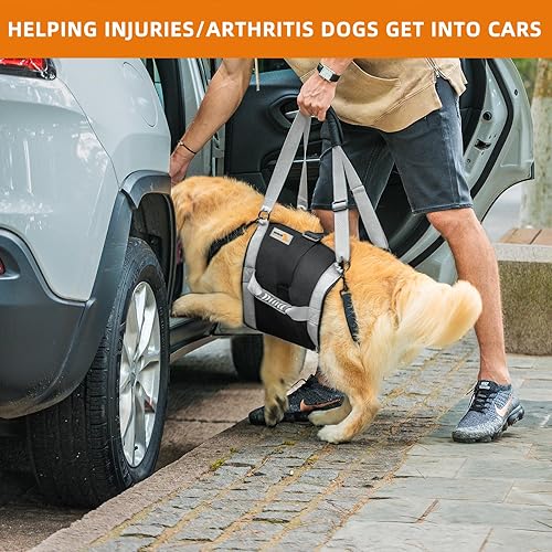 Miniatura 3 de Arnés de elevación para perros grandes, portador de cuerpo completo con asa, hasta 60 libras, para escaleras, soporte de patas traseras, lesiones en