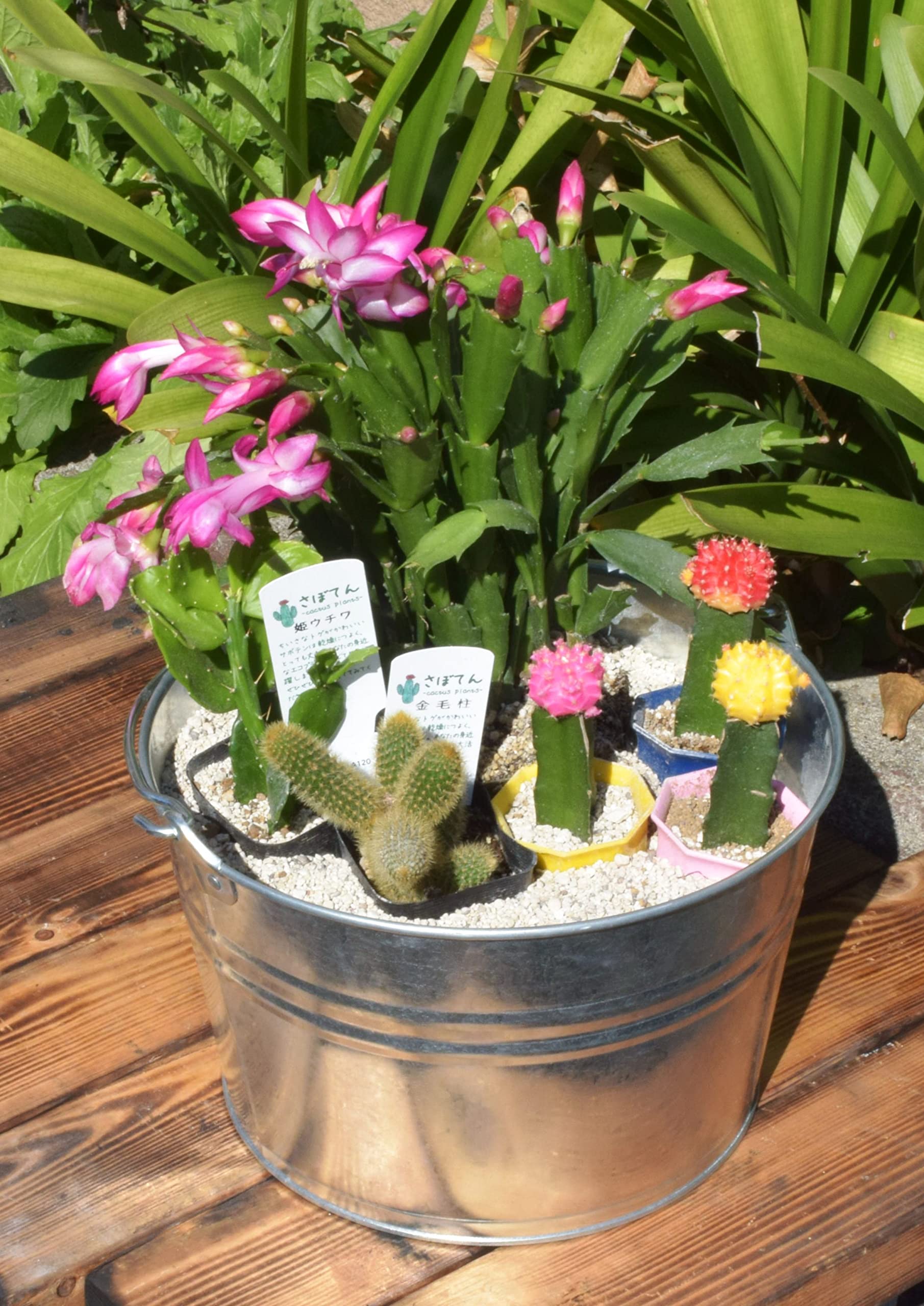 陶器製花柄バケツ 金属装飾付き 陶器製花柄バケツ 金属装飾付き