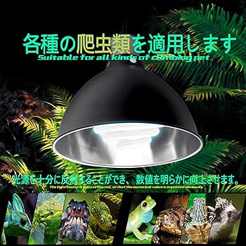 Amazon | 爬虫類用 ライトドーム ランプホルダー ヒーター