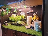 Review Image by Kirstan Wild Kirstan Wild