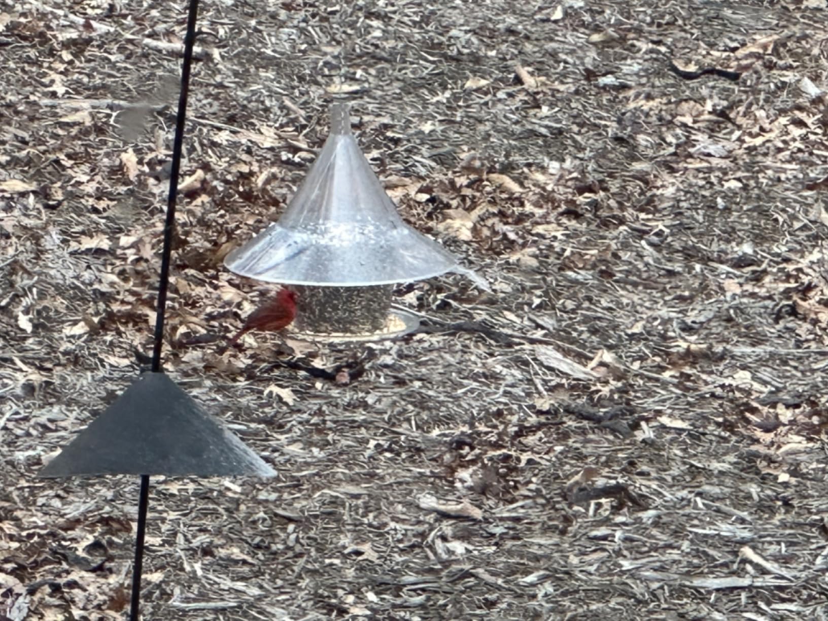 It’s a bird feeder