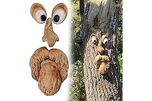 Whimsical Face Ficus Tree Decoration