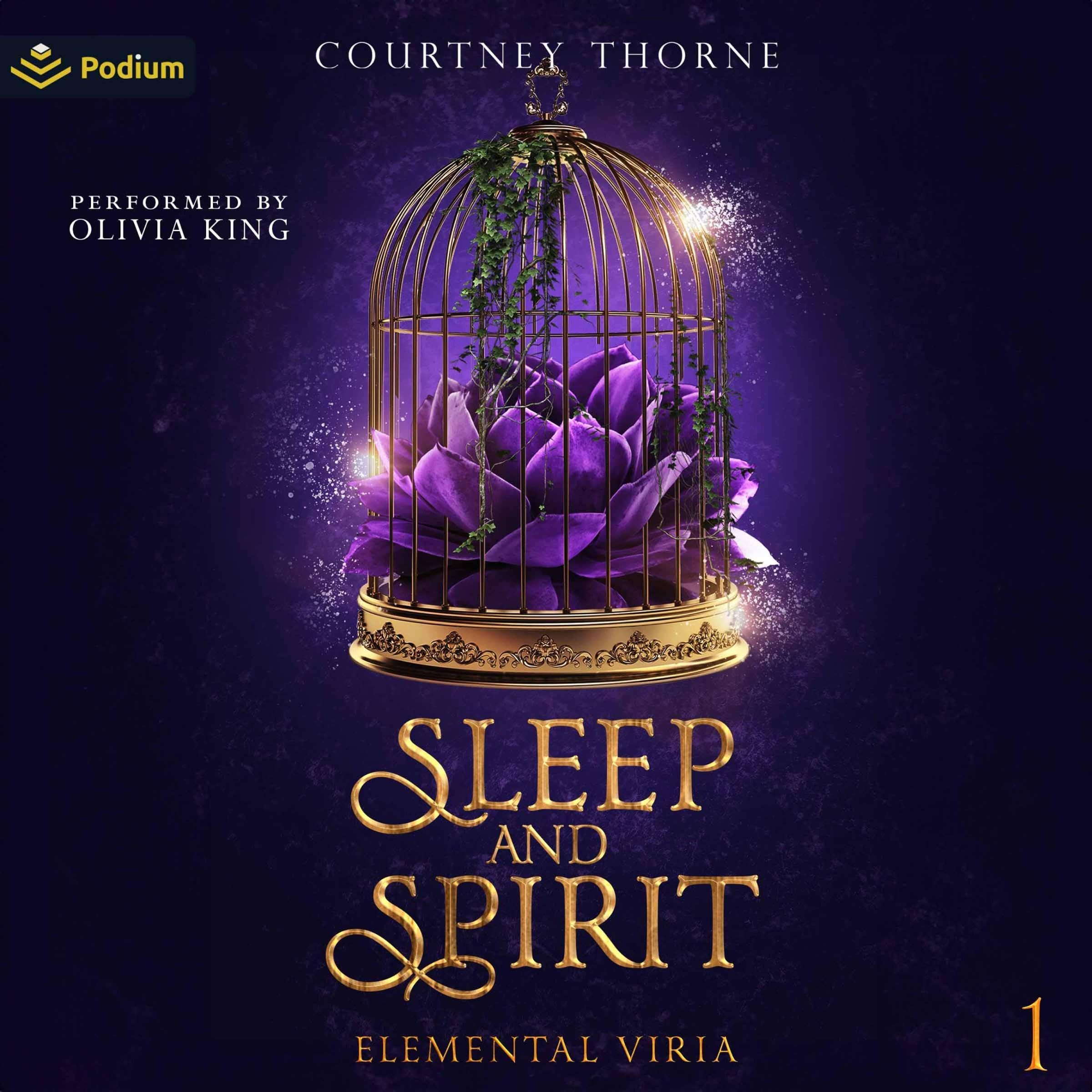 Cover art for Sleep and Spirit