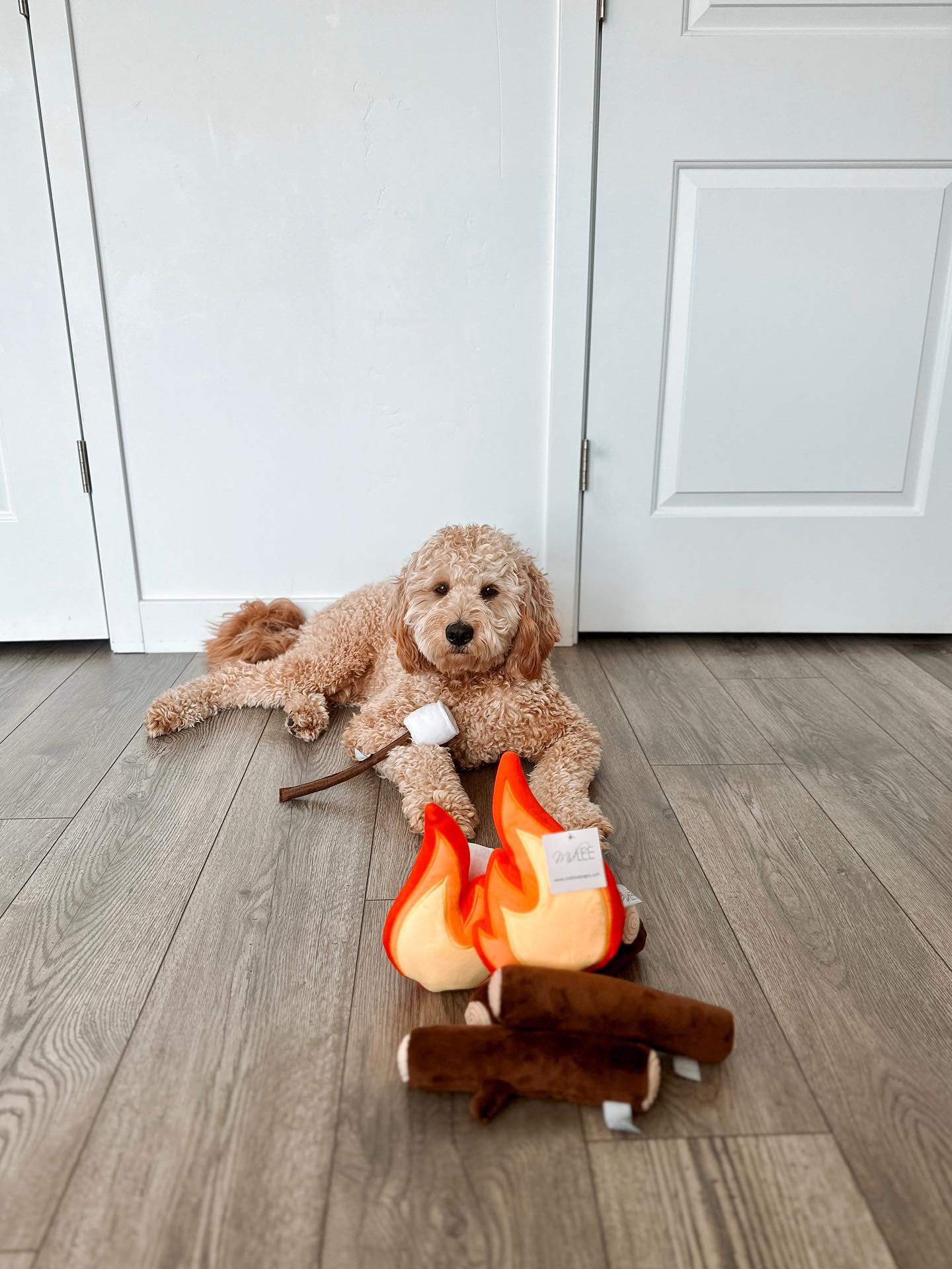 Juguete para perros en una fogata