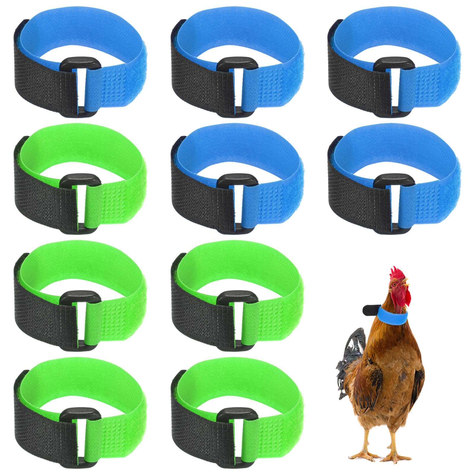 M METERXITY 10-Pack Rooster Collars 8.07" x 0.79" Blue/Green