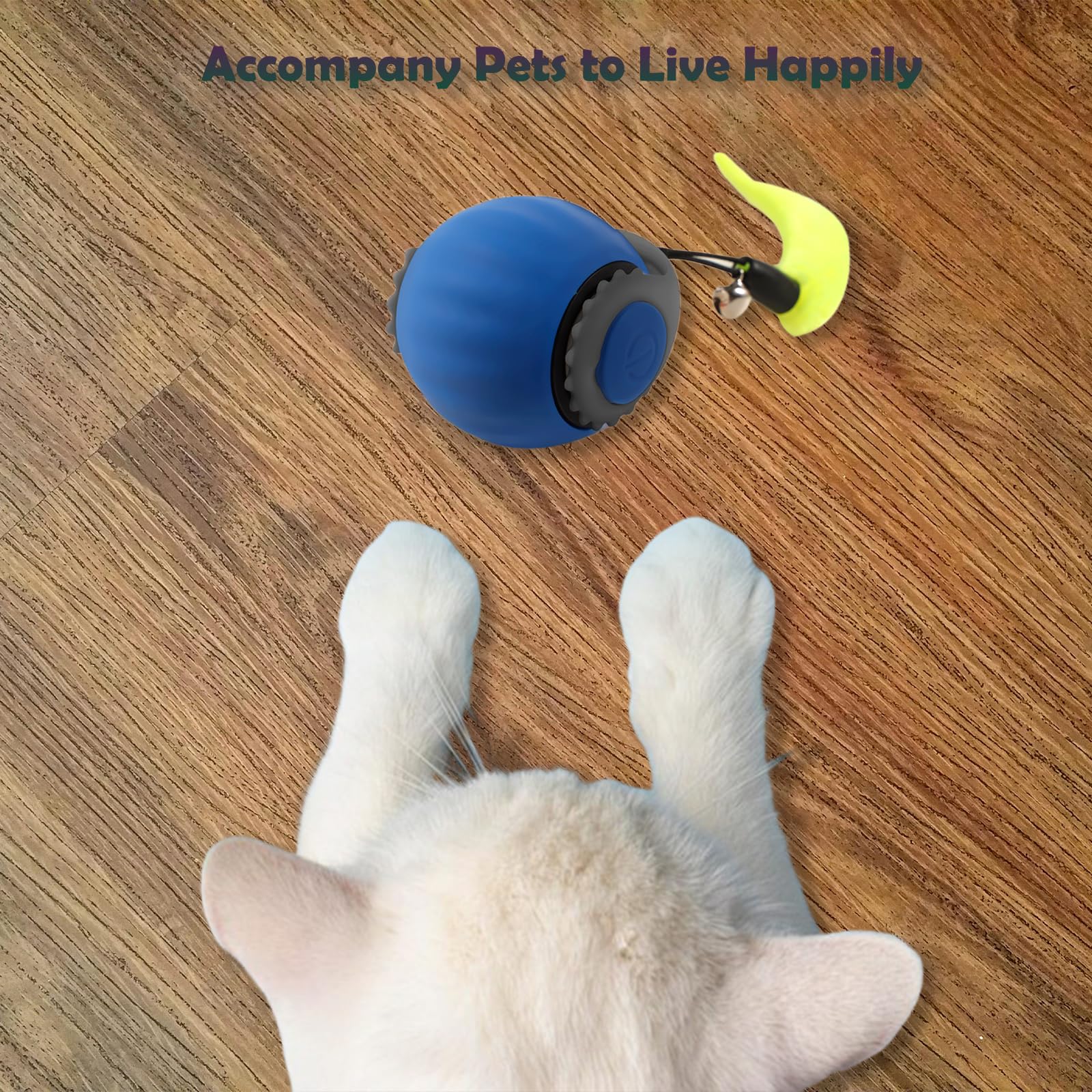 Jouet interactif pour chat d'intérieur - Balle à rouler rapidement sur tapis (bleu)