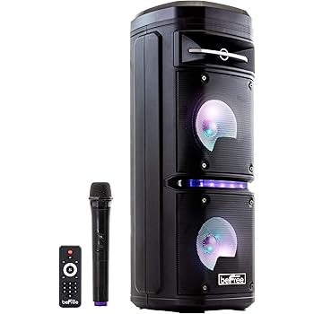 befree speaker system