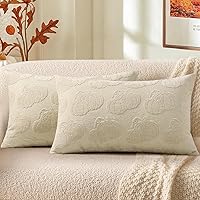 Vista 17 de decorUhome Juego de 2 fundas de almohada de felpilla suave de otoño de 18 x 18 pulgadas, fundas de almohada decorativas de terciopelo neutro