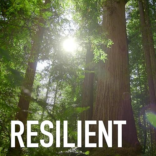 Miniatura 10 de Scotch-Brite Greener Clean - Esponja antiarañazos, esponja para lavar platos, limpieza de cocina, rendimiento superior y fabricada con materiales