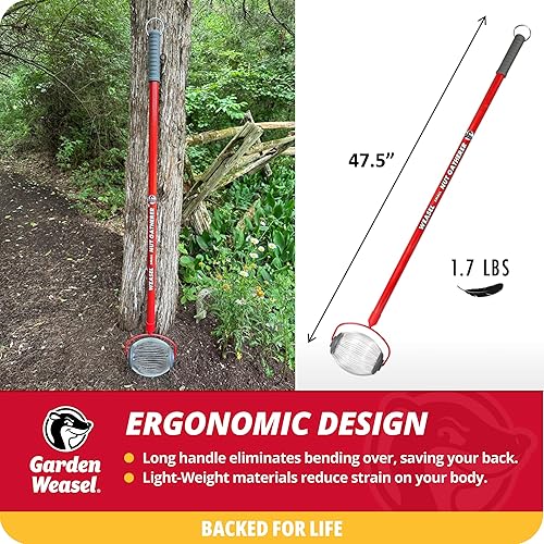 Miniatura 7 de Garden Weasel Nut Gatherer 95314 - Rodillo mediano para patio, recoge nueces, bellotas grandes, bolas de chicle dulce, nueces de nogal y más de 0.75