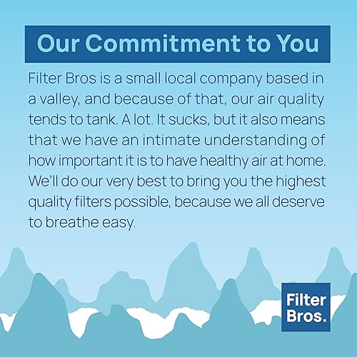 Miniatura 6 de Filtro Bros HEPA Filtro E Reemplazo Para GermGuardian FLT41002PK AC4100 AC4175