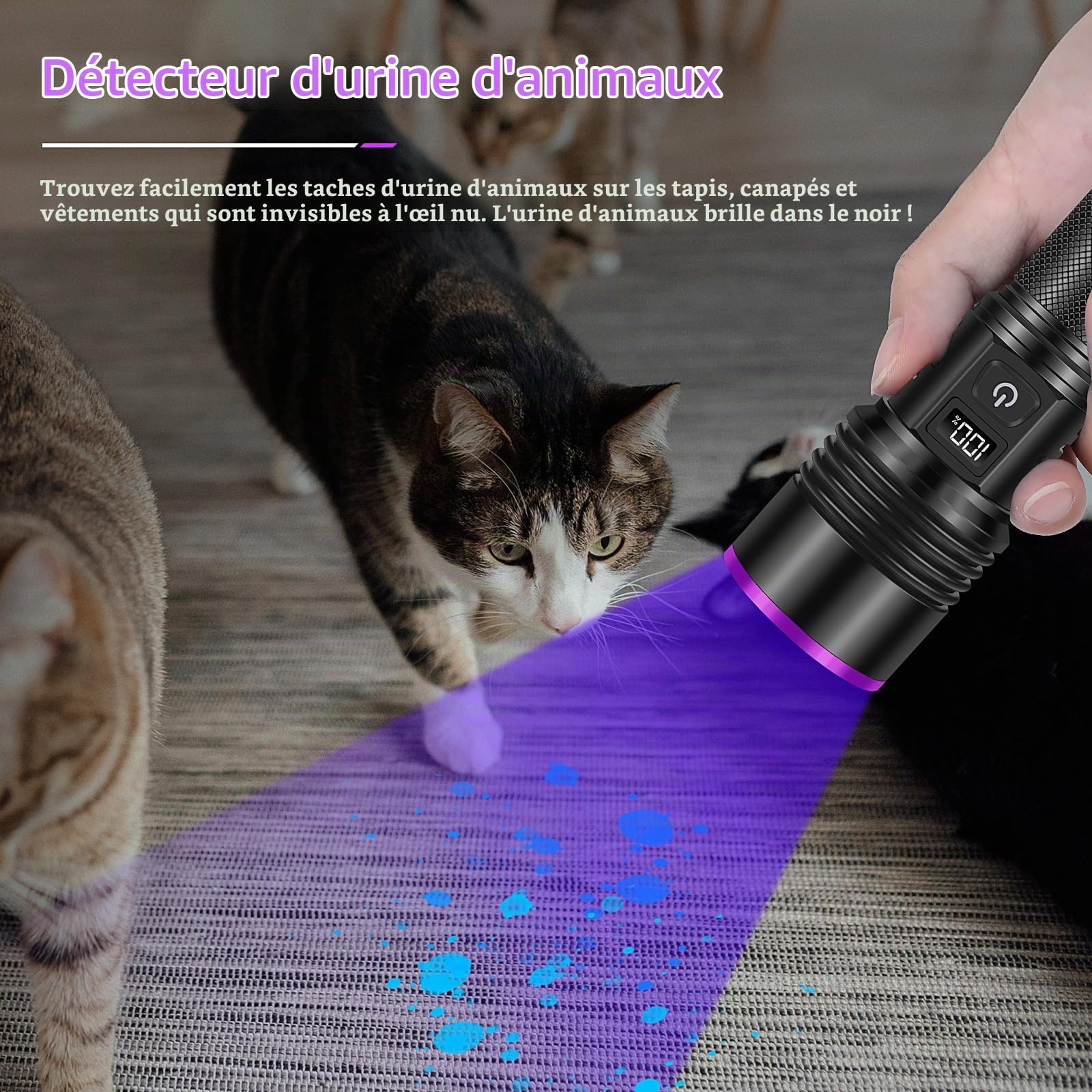 WINDFIRE Lampe Torche UV 365nm Lumière Noire, Rechargeable 30W LED Lampe UV avec écran LCD, Puissante Ultraviolet Lampe de Poche pour Détection d'urine d'animaux domestique, Durcissement de la résine