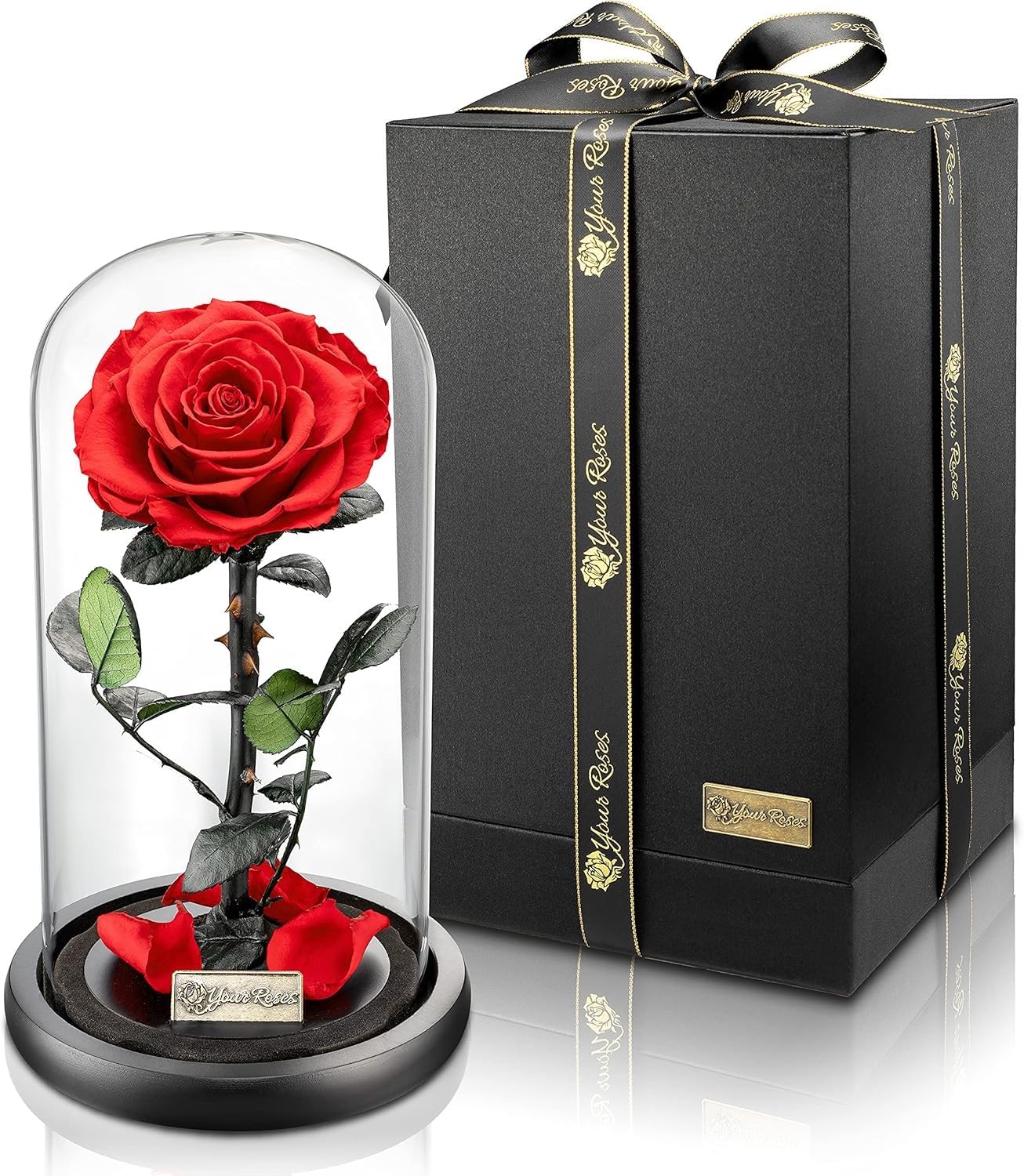 YourRoses - Rosa infinita, in barattolo, con scatola regalo per lei, moglie, fidanzata, idea regalo, San Valentino, festa della mamma, compleanno, anniversario di matrimonio, Natale, anniversario