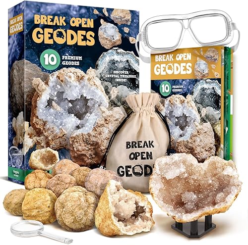 XX TOYS Break Open 10 geodas premium con cristales, incluye gafas, guía de aprendizaje y 2 soportes de exhibición, gran regalo de ciencia STEM para