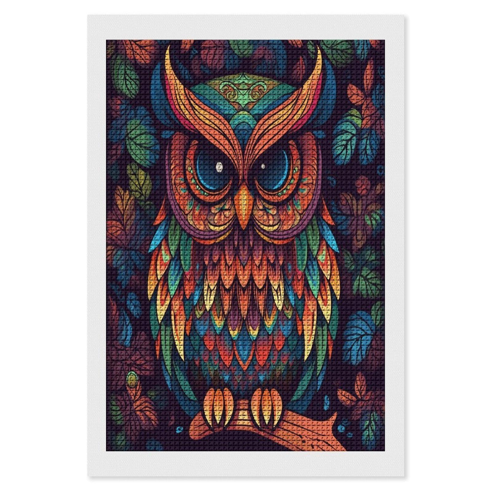 FodPand Color Owl Pattern Diamond Painting Kit for Beginner Fun 5D DIY Crafts for Adults Diamond Art Kits Square Diamond Art Canvas Painting Gem Art Crafts for Home Wall Decor 8"x12"