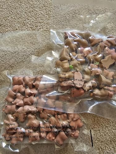 ubuy Senegal