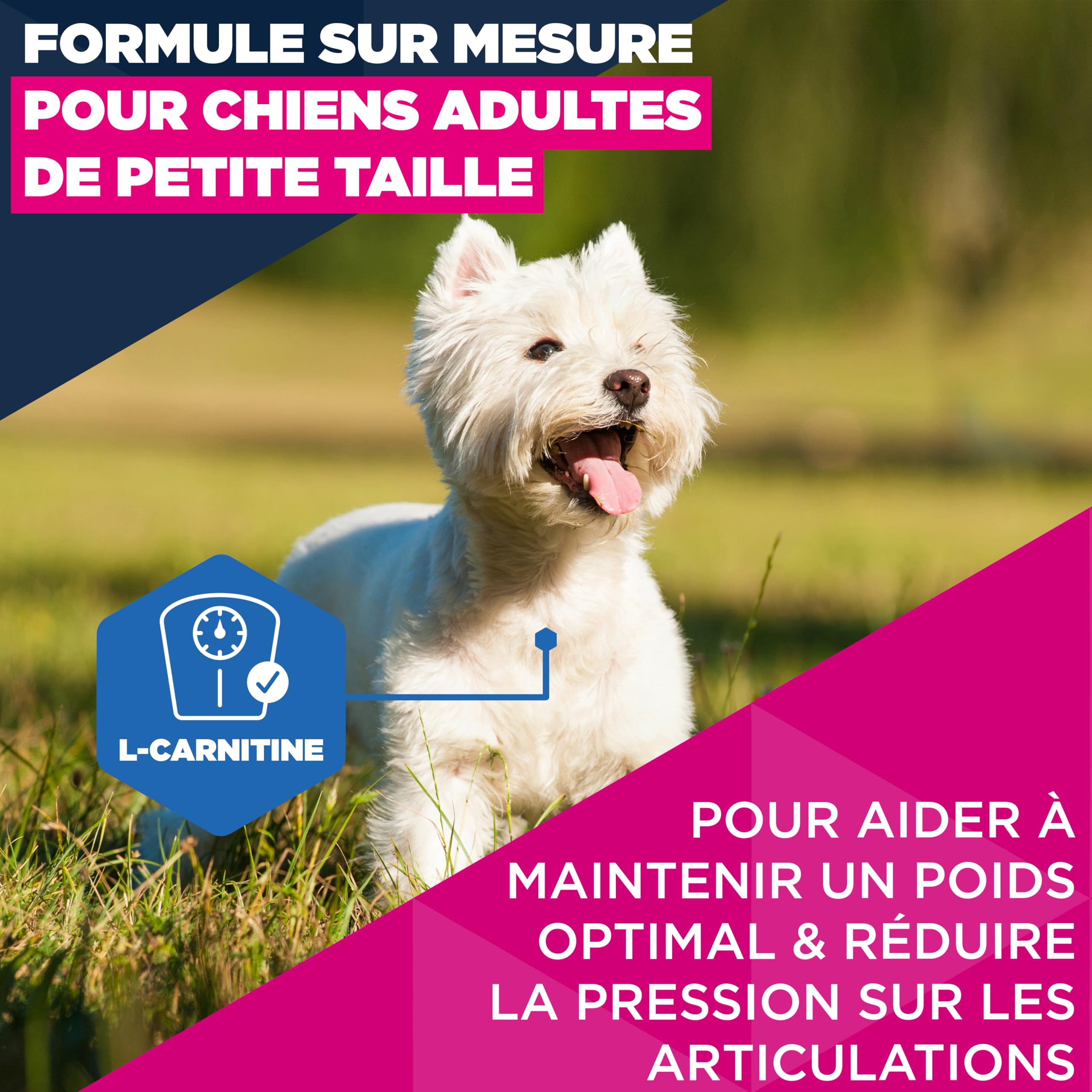 EUKANUBA Life Care Chien Mature Petite Race Poulet 7,5 kg