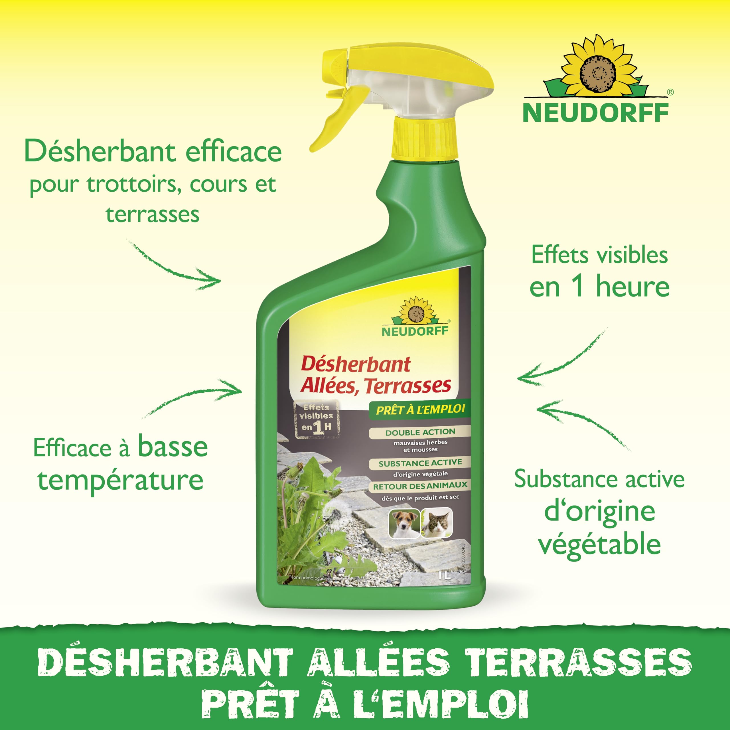 Neudorff Finalsan Désherbant Allées Terrasses 1 L