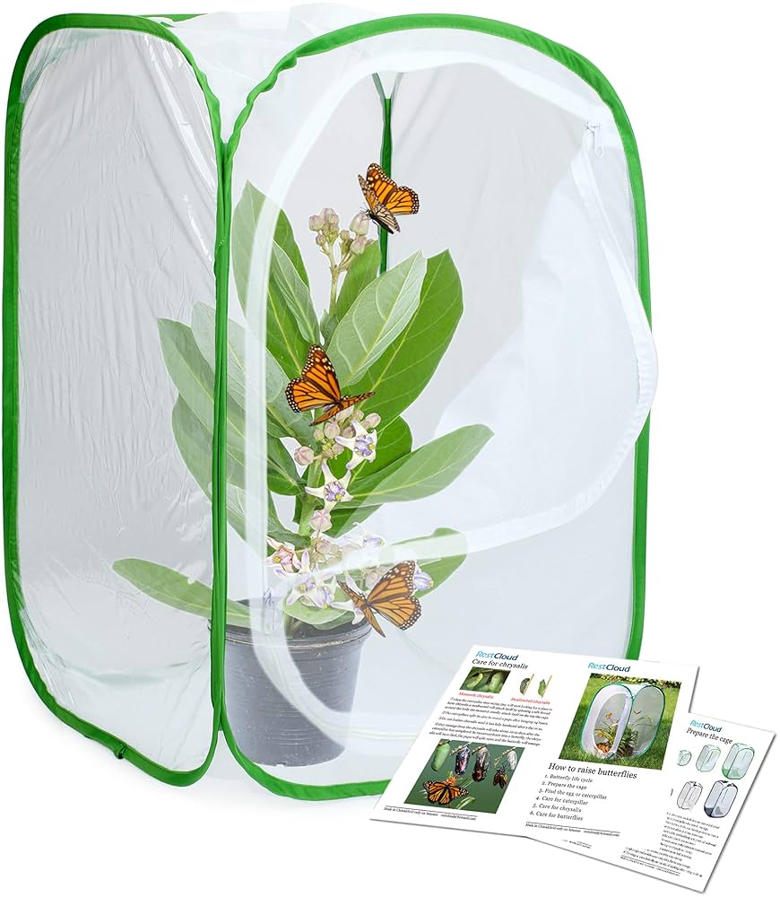 Aazon.co: Qingo Collapsible Insect And Butterfly Kit Garden Growing Habitat Cage Terrariu Pop