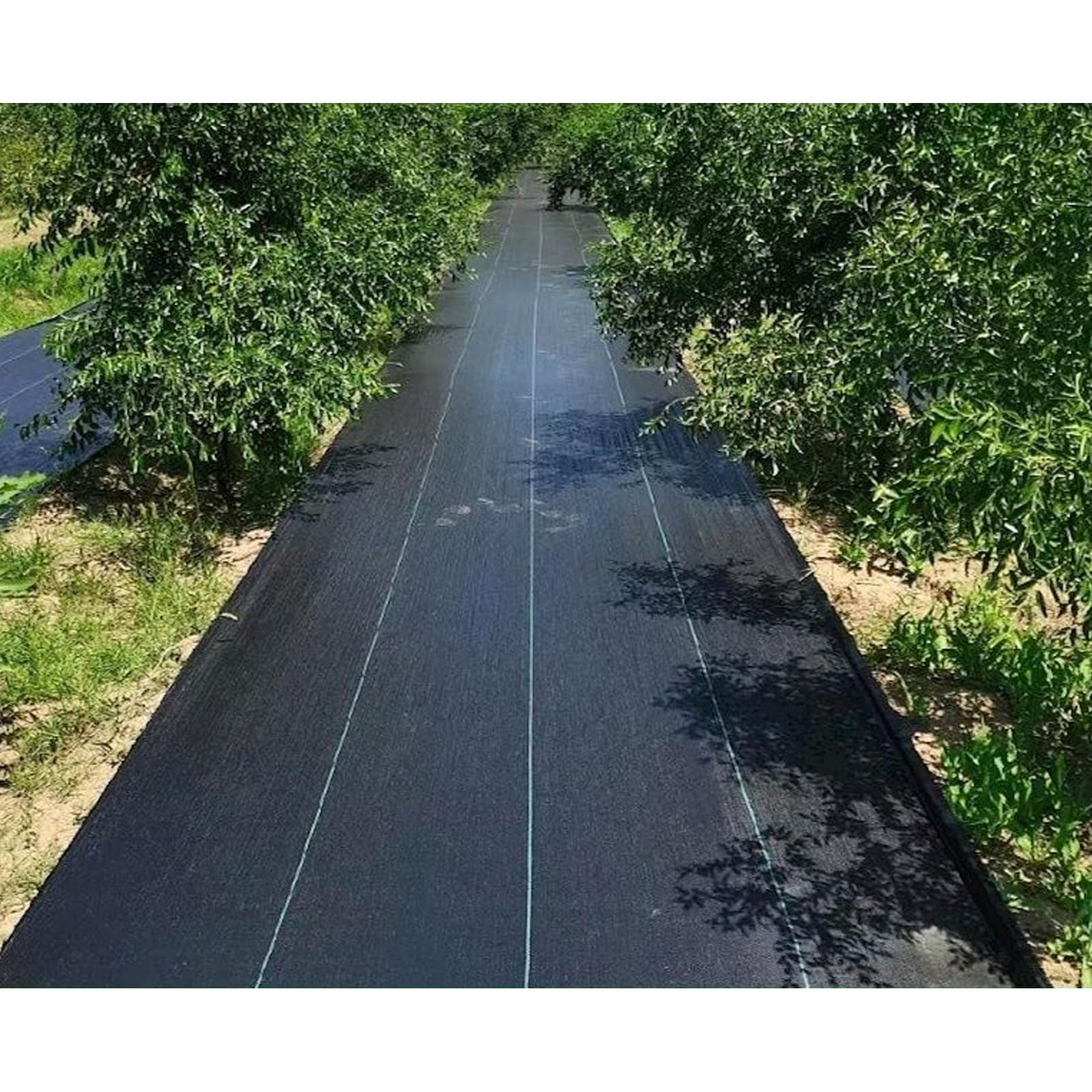 4m x 5m Telo Pacciamatura Non Tessuto 90 g/m² Anti Erbacce per Giardino & Orto Permeabile all'Acqua Protezione Contro Resistente agli Strappi Alta Stabilizzazione UV (4m x 5m = 20m²)