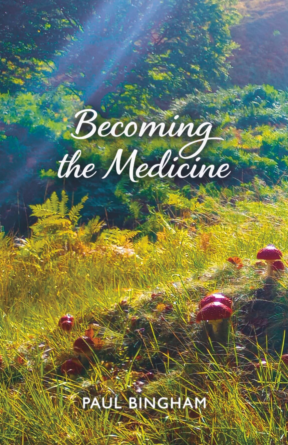 Becoming the Medicine: A Twenty-Year Journey Through Plant Spirit Healing, Spiritual Awakening and Unity Consciousness