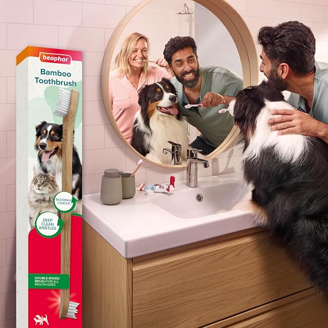 Foto 6 de 6 de Beaphar - Cepillo Ecológico de Bambú - Limpieza Profunda - para Perros y Gatos