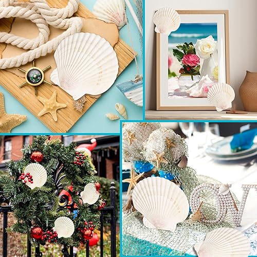 Miniatura 6 de 8 conchas de almeja para manualidades, conchas de vieira naturales de 4 a 5 pulgadas, conchas marinas grandes para manualidades, fiestas temáticas y