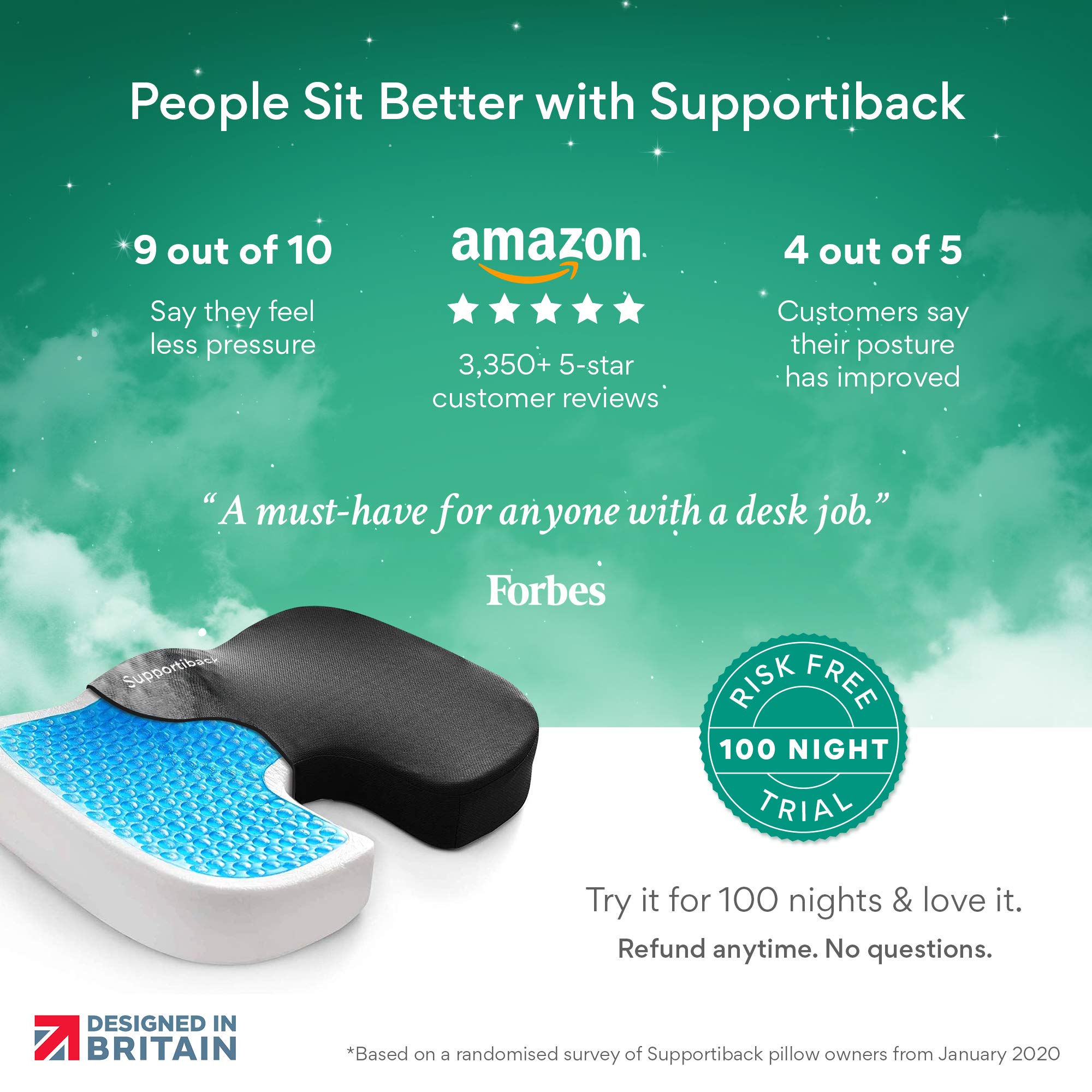 supportiback cushion