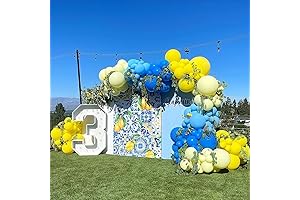 Lemon Balloon Arch Kit for Lemon-Themed Celebrations
