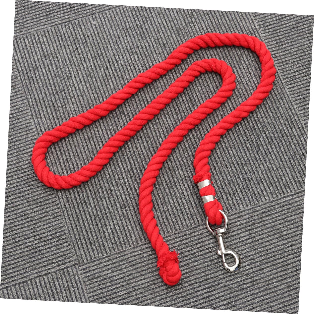 Toddmomy Corda per Cavallo in Cotone 2 Metri con Moschettone Rosso