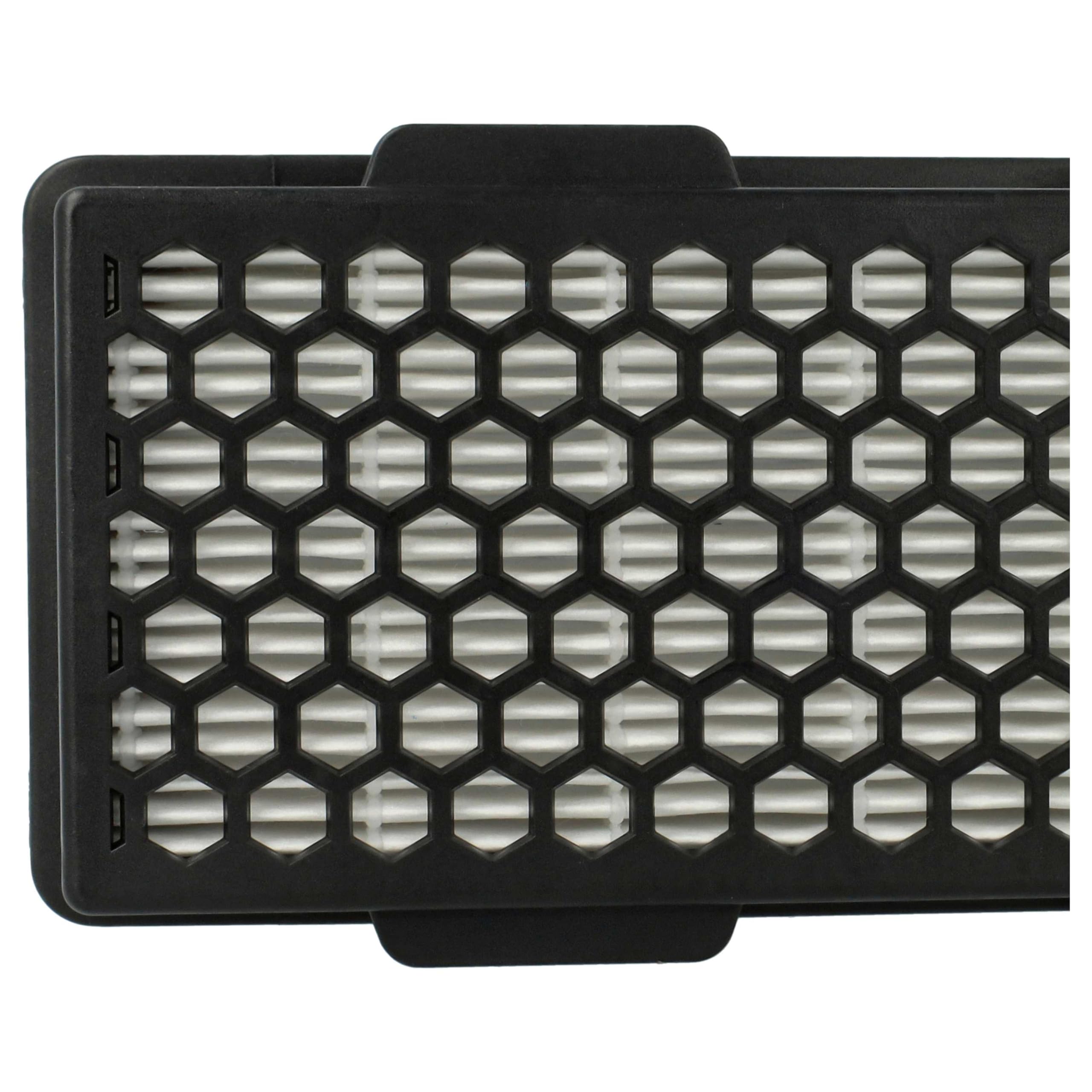 vhbw 2 x filtr do odkurzacza kompatybilny z Samsung SC15F30, SC15F30WB, SC15F30WA, SC08F60, SC15F30WD, SC15F30WC - filtr HEPA czarno-biały