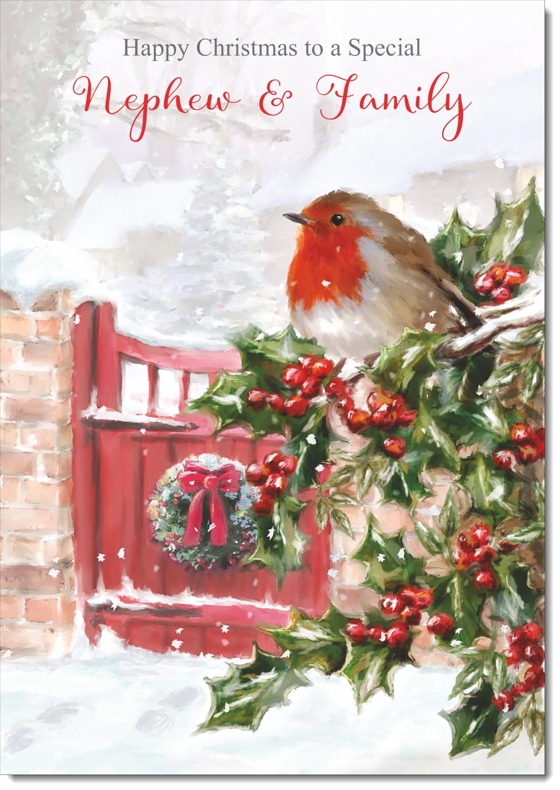doodlecards Nephew and Family Christmas Card Robin on Holly Tree Large A4 Size Christmas Card for Nephew & Family with Plain Envelope — image 1