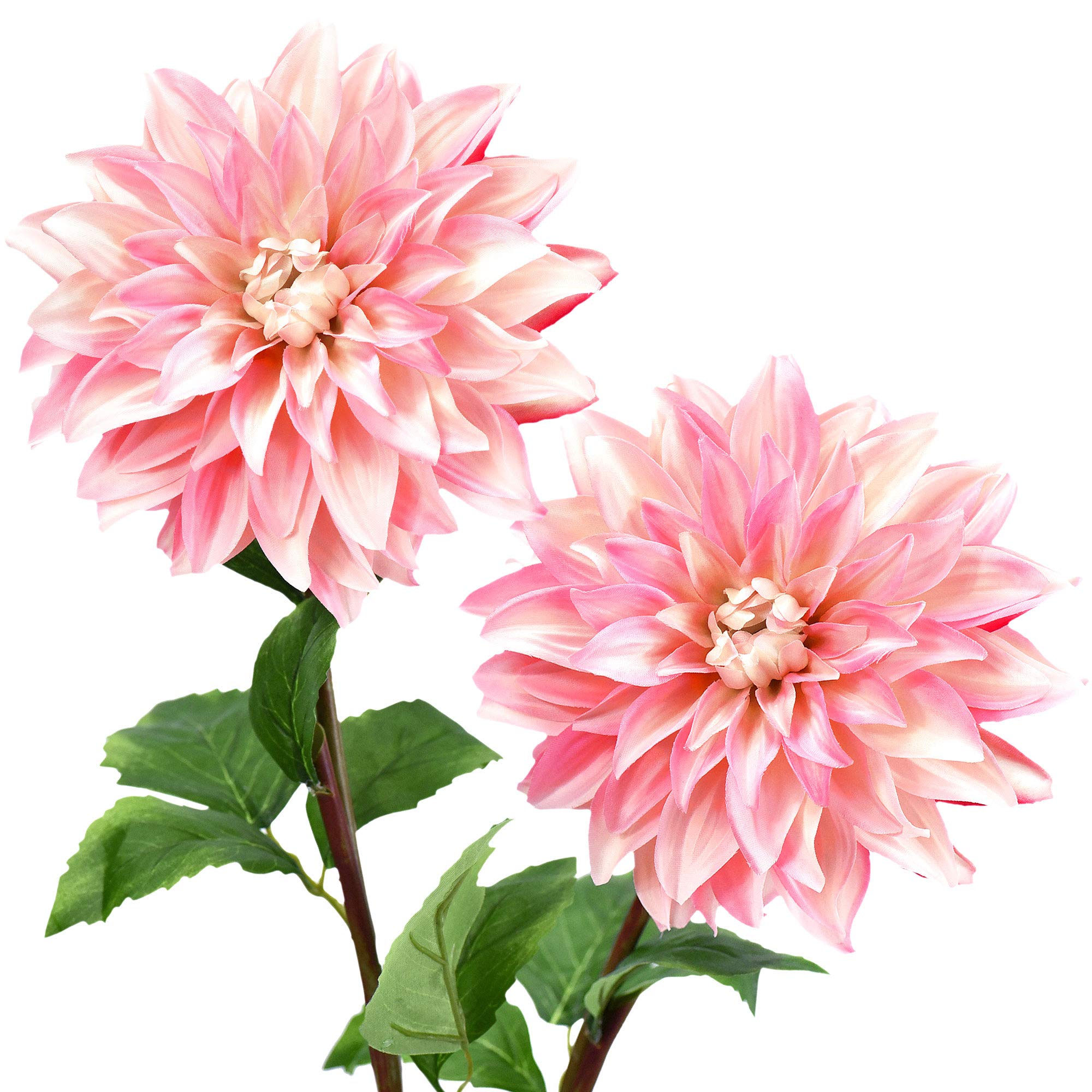 Fiveseasonstuff Soft Light Pink Artificial Flowers Dahlia Silk Flowers For Outdoors Indoors And Tall Vases 2 Stems (Soft Light Pink)