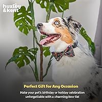 Vista 9 de Huxley & Kent Pajarita para mascotas Caramelo espeluznante (pequeño) Accesorio para el collar de corbata de lazo de Halloween Divertidas
