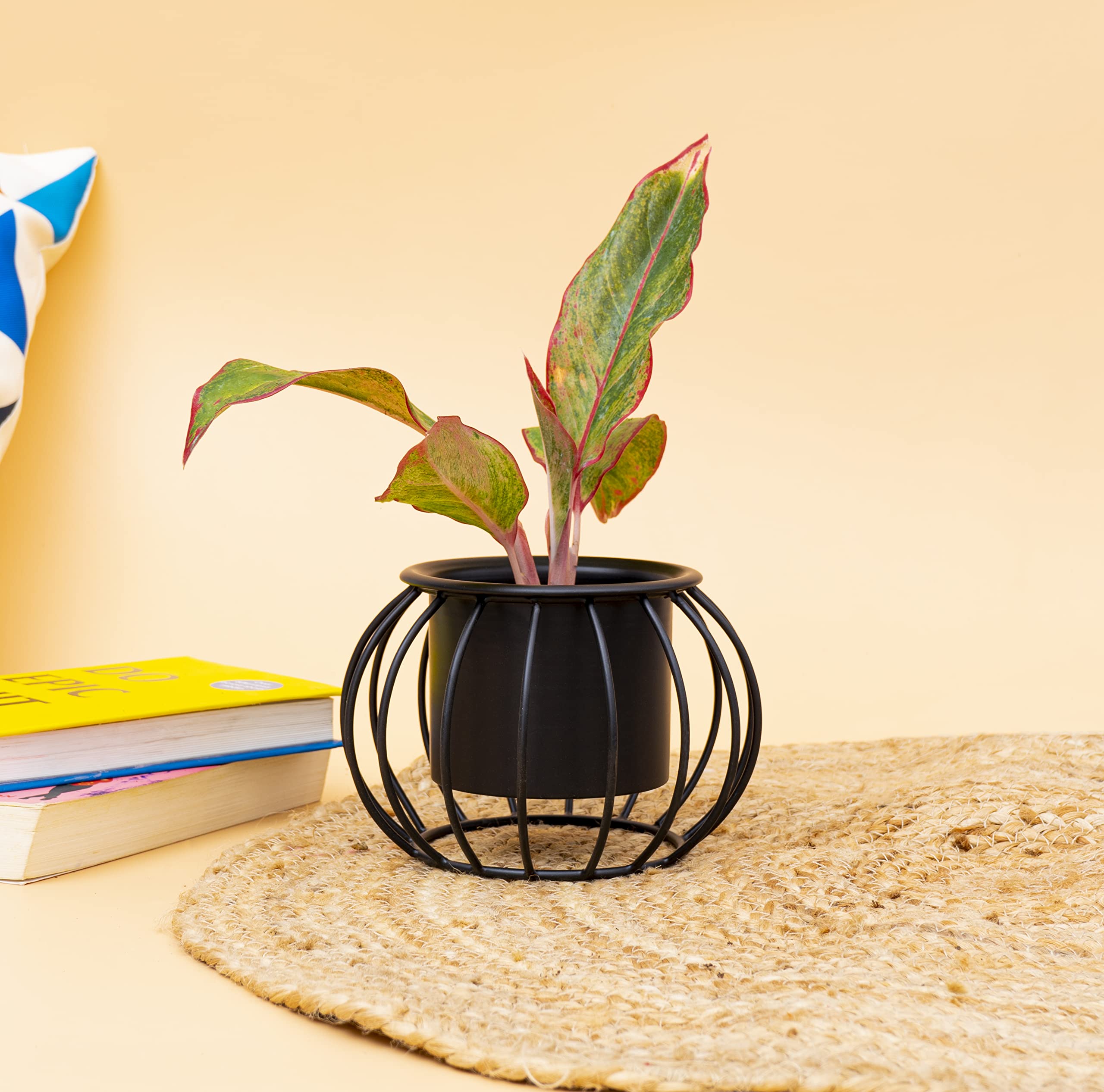 KYARI Adorning Black Round Metal Planter, Black, Table Top Designer Metallic Gold Metal Stand for Flowers & Plants Pots Livingroom, Balcony, Pot for Indoor Outdoor Use, Pot Size: 11 * 11 * 9cm