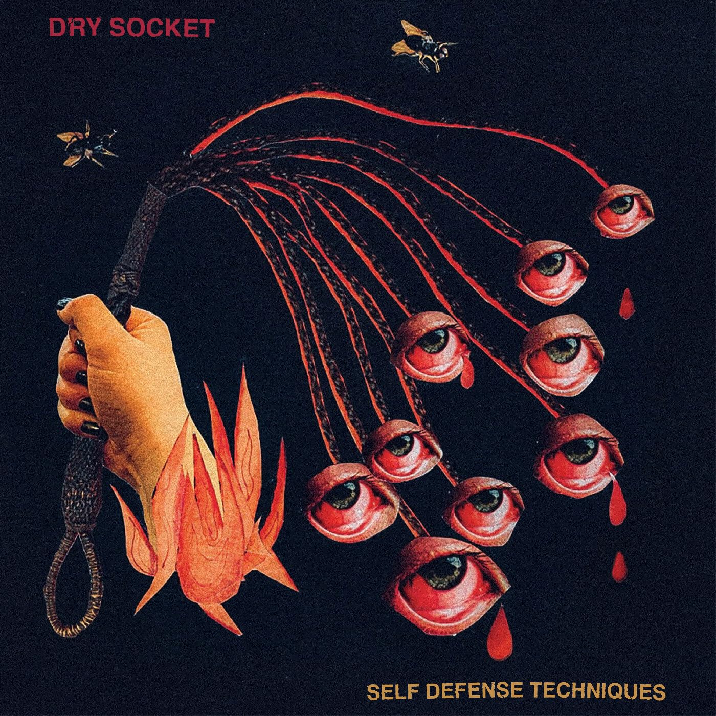Dry Socket Self Defense Techniques (galaxy Effect/ruby Transparent/black Vinyl)