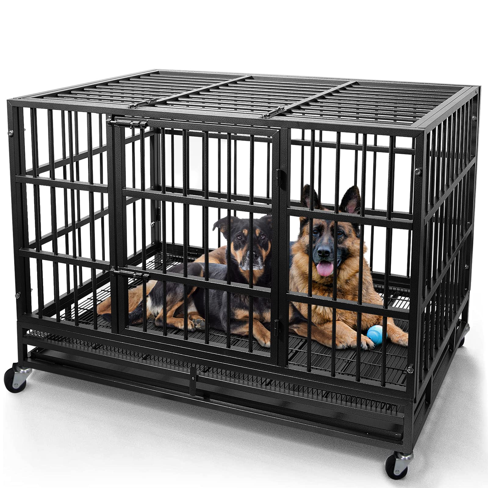 What Is The Best Crate For A Dog With Separation Anxiety