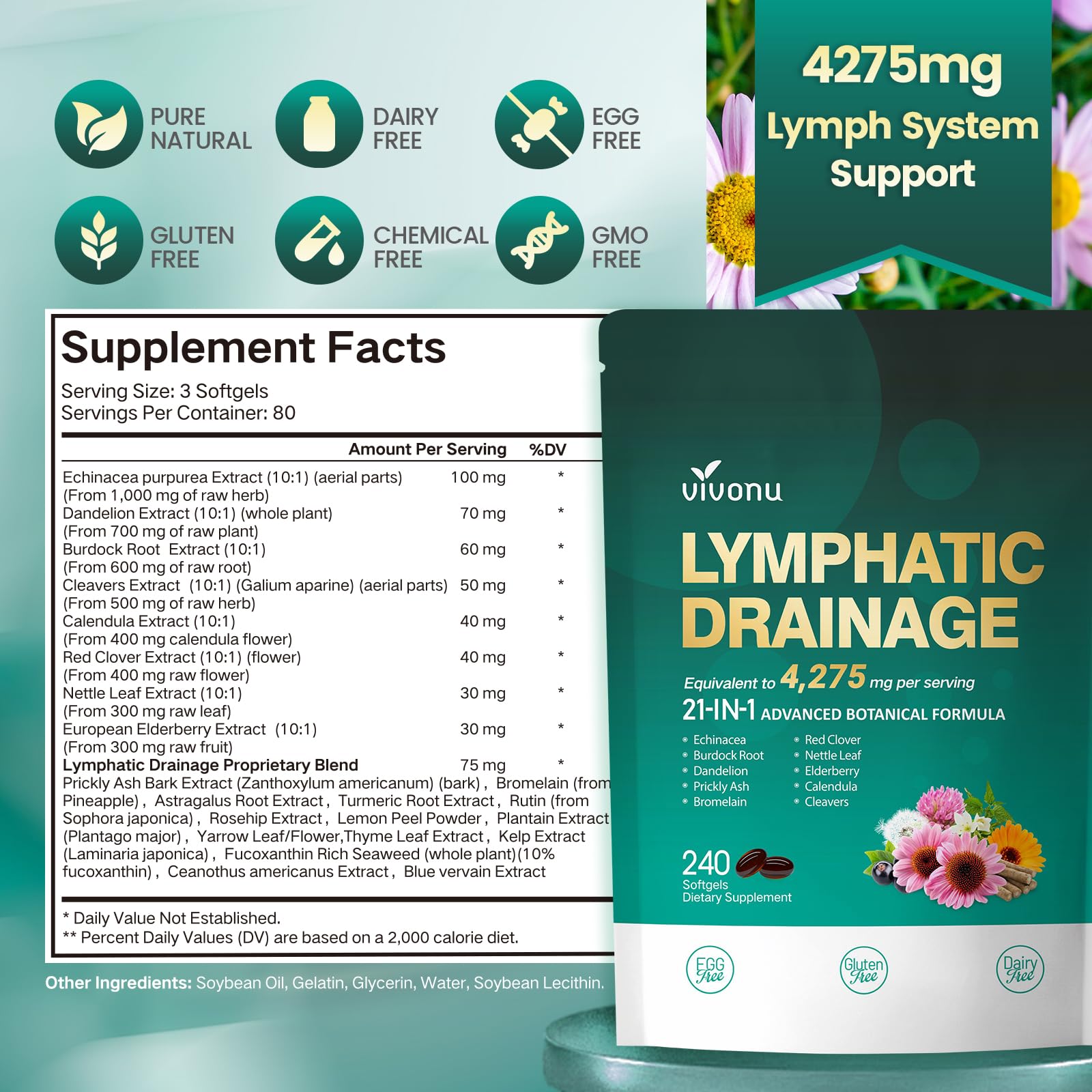 VivoNu Lymphatique 240 pcs - Soutient l'Absorption Système Immunitaire - l'Équilibre et le Bien-Être - Contre Jambes Lourdes - 100% Naturel - Sans OGM