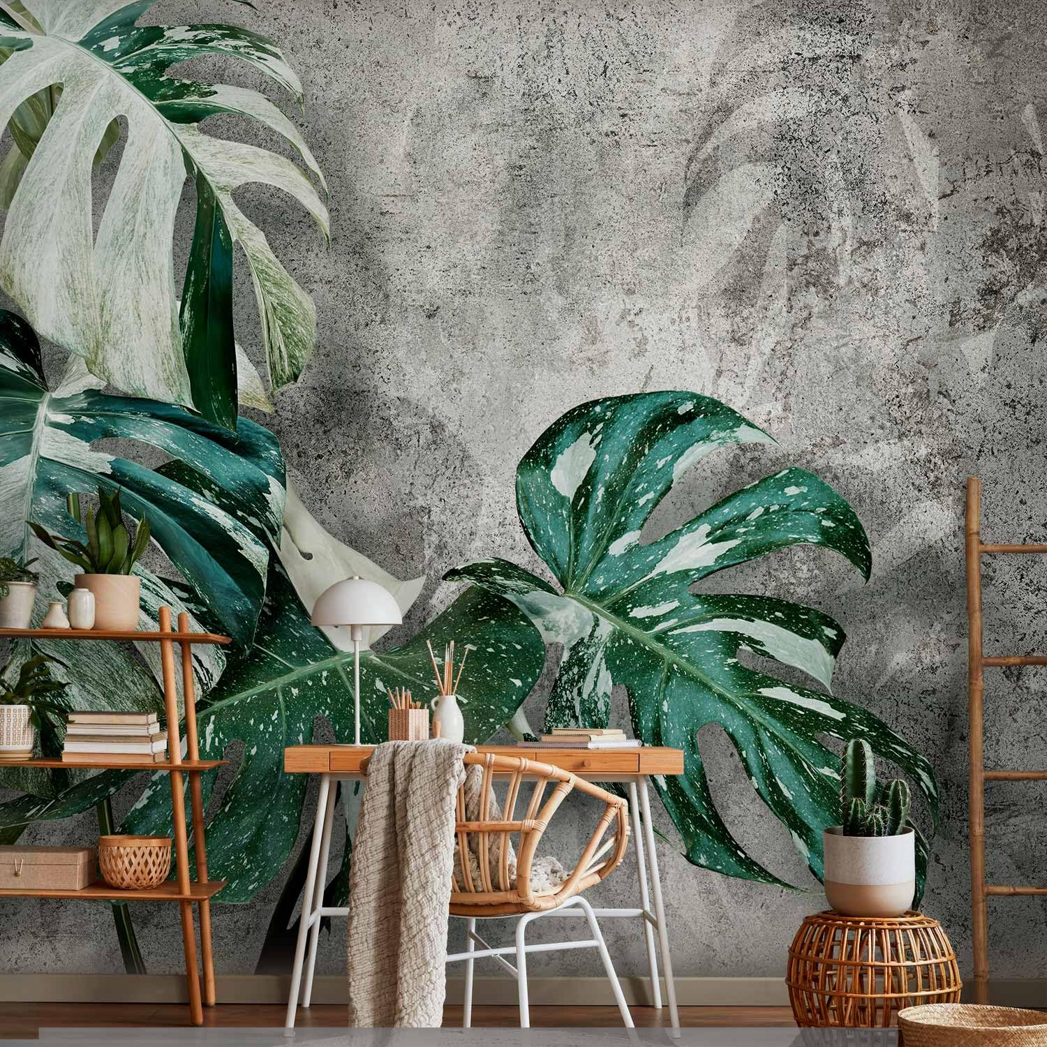 murando Fototapete selbstklebend Monstera Variegata 343x256cm Foto Tapete  Tapetenfolie Mbelfolie Wandverkleidung Wandtapete Motivtapeten Bildtapete  ...