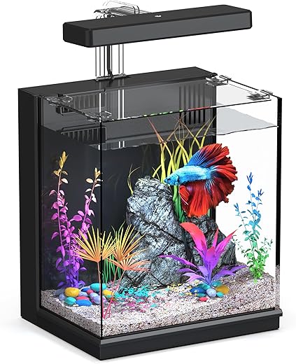 Aquariums & Fish Bowls