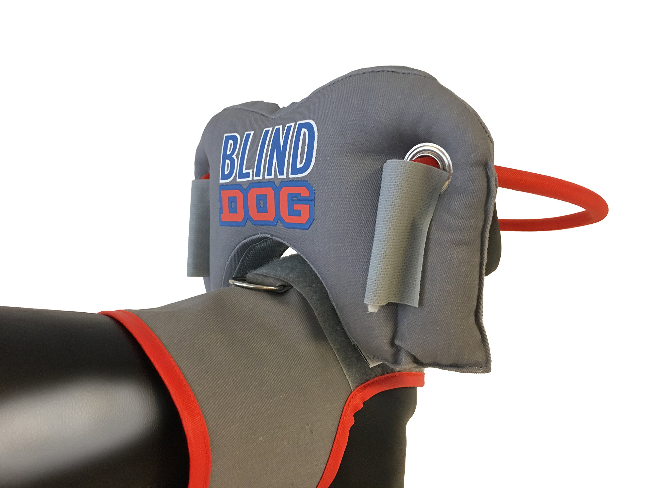 Muffin's Blind Dog Clubhouse Arnés con Anillo Que Protege a los Perros Ciegos, S, Grey
