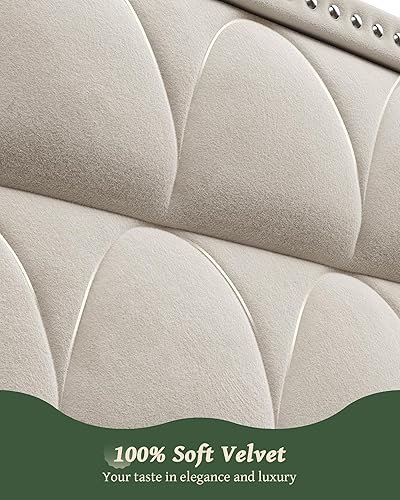Miniatura 7 de Base de cama tamaño Queen con cabecera de 56 pulgadas, soporte de capacidad de 1000 libras, marco de cama tapizado de terciopelo, sin ruido, soporte