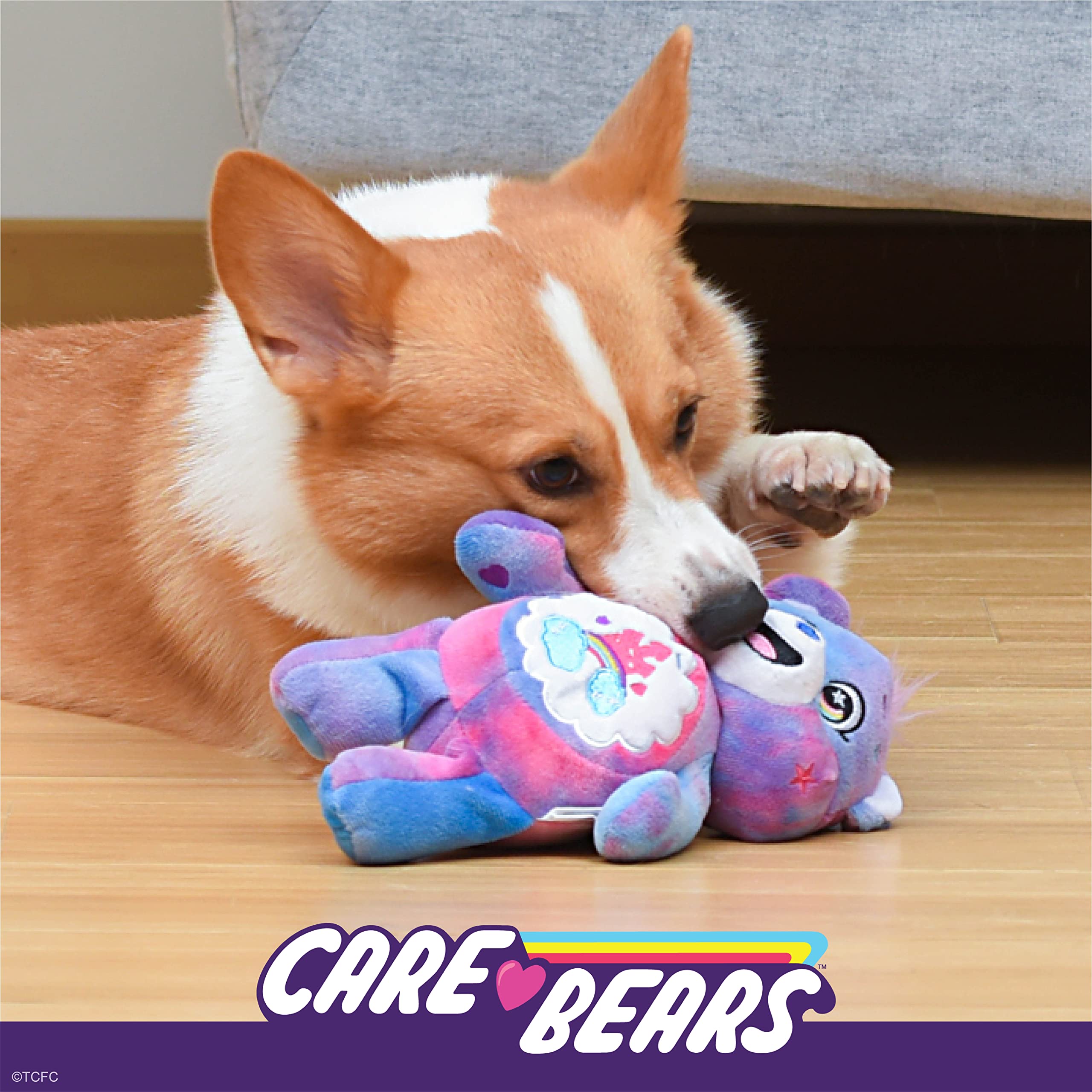Care Bears Pet Plush Squeaky Toy Care-a-Lot Bear, 9” with Squeaker Inside, Multicolor, 9" - Image 4